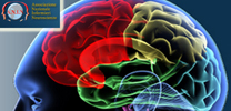A.N.I.N. Associazione Nazionale Infermieri Neuroscienze